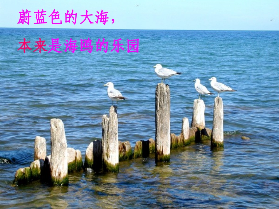 《和我们一样享受春天》PPT课件[部编版四年级语文下册]_第2页