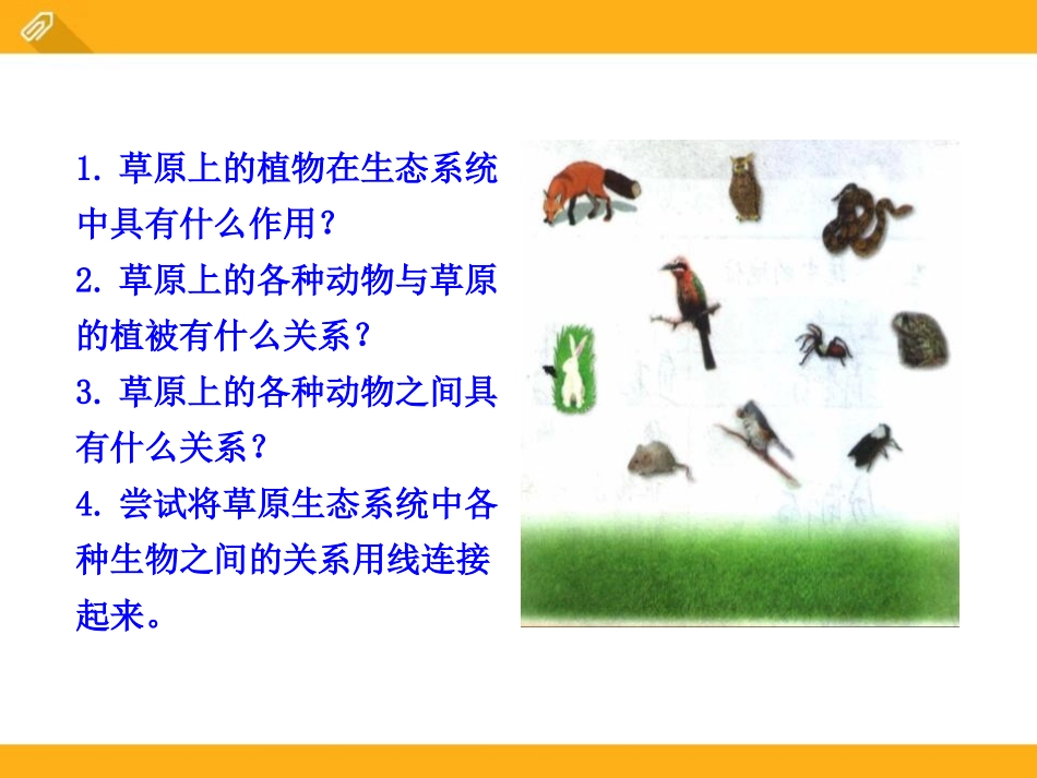 《生态系统的结构和功能》PPT课件[北师大版八年级生物下册]_第3页