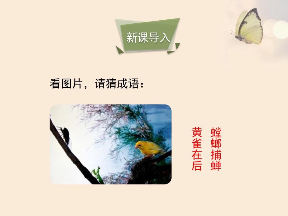 《生态系统的结构和功能》PPT课件[北师大版八年级生物下册]_第3页