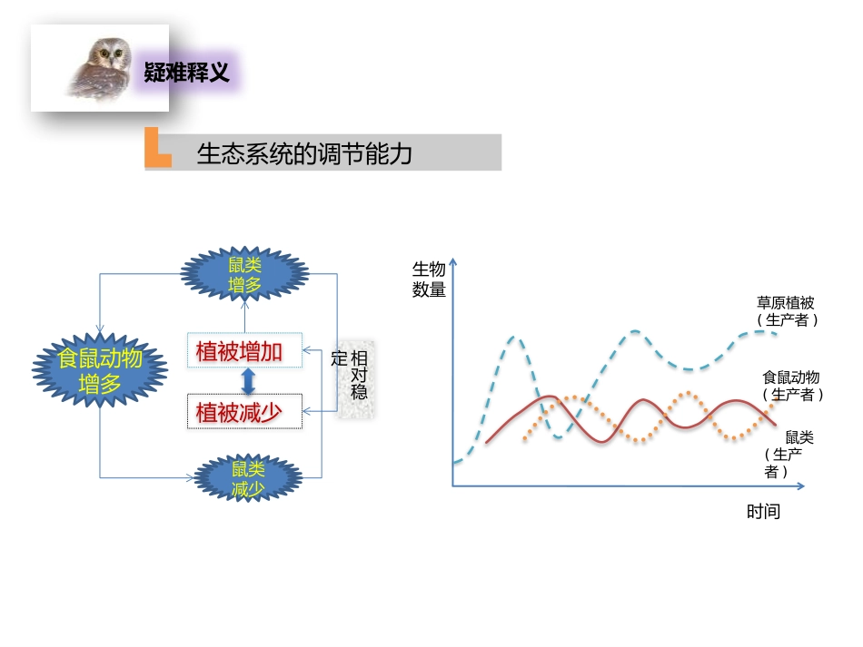 《生态系统的稳定性》PPT课件[北师大版八年级生物下册]_第3页