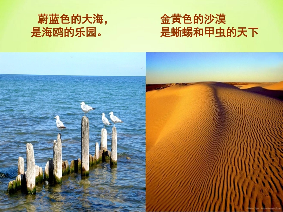 《和我们一样享受春天》PPT课件[部编版四年级语文下册]_第2页