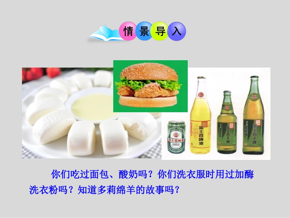 《发酵技术》PPT课件[北师大版八年级生物下册]_第2页