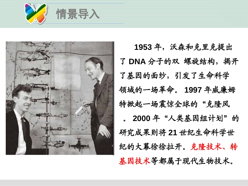 《现代生物技术》PPT课件[北师大版八年级生物下册]_第2页