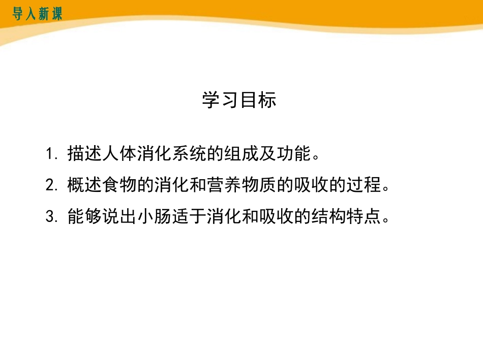 《食物的消化和营养物质的吸收》PPT课件[北师大版七年级生物]_第2页