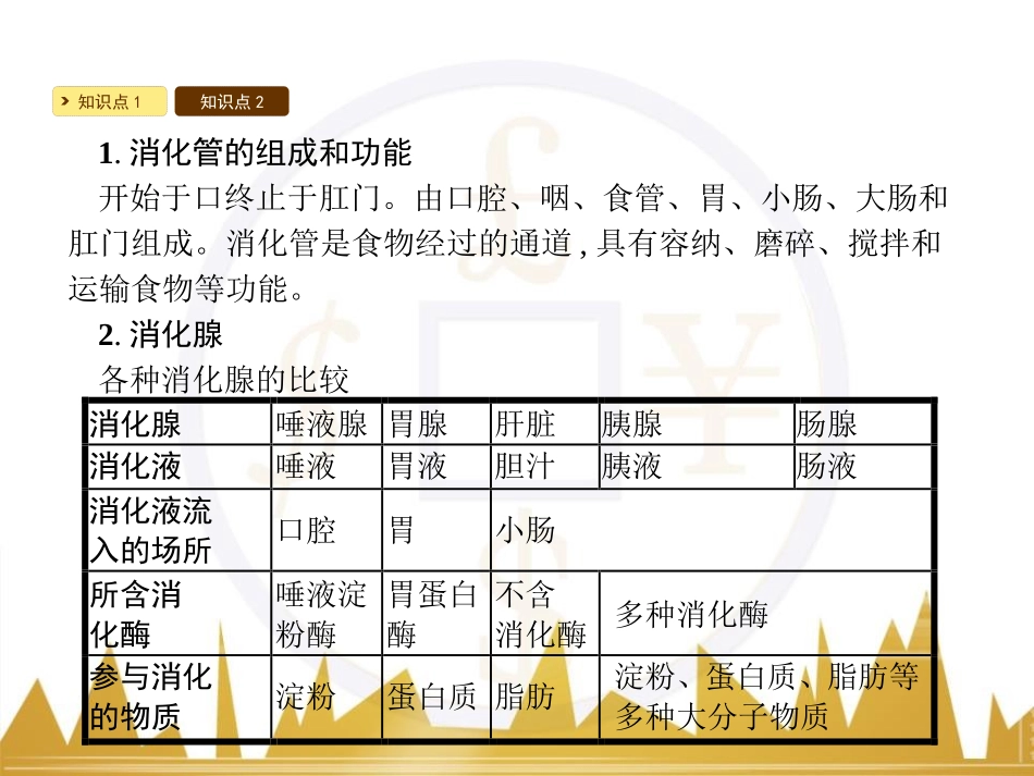 《食物的消化和营养物质的吸收》PPT课件[北师大版七年级生物]_第3页