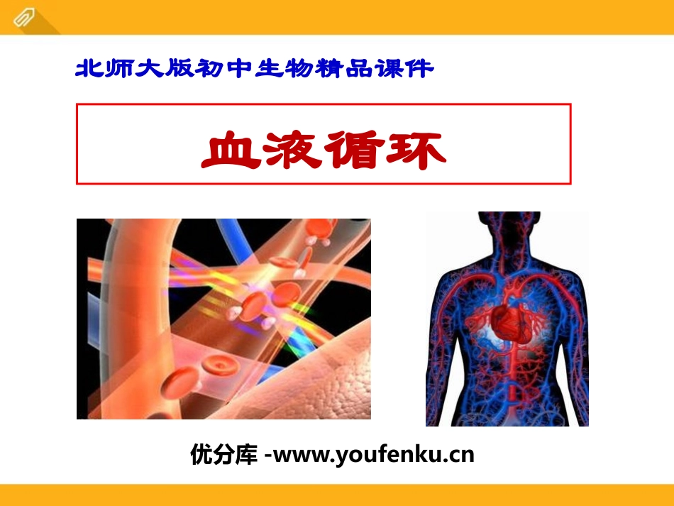 《血液循环》PPT课件[北师大版七年级生物下册]_第1页