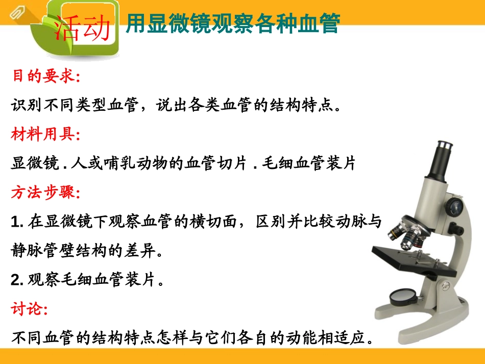 《血液循环》PPT课件[北师大版七年级生物下册]_第3页