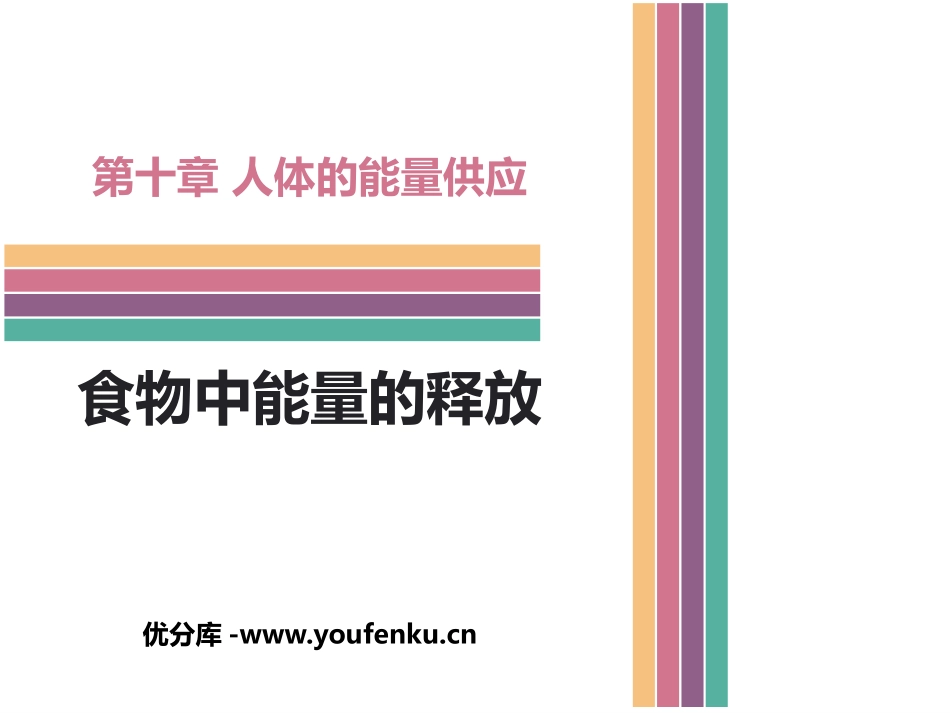 《食物中能量的释放》PPT课件[北师大版七年级生物下册]_第1页