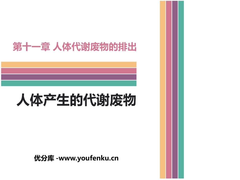 《人体产生的代谢废物》PPT课件[北师大版七年级生物下册]_第1页