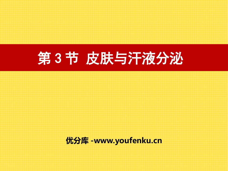 《皮肤与汗液分泌》PPT课件[北师大版七年级生物下册]_第1页