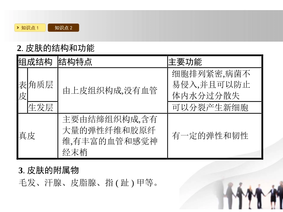 《皮肤与汗液分泌》PPT课件[北师大版七年级生物下册]_第3页