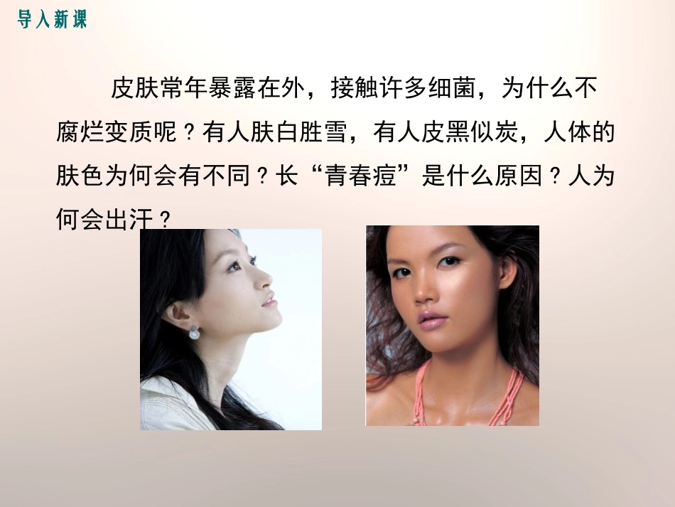 《皮肤与汗液分泌》PPT课件[北师大版七年级生物下册]_第2页