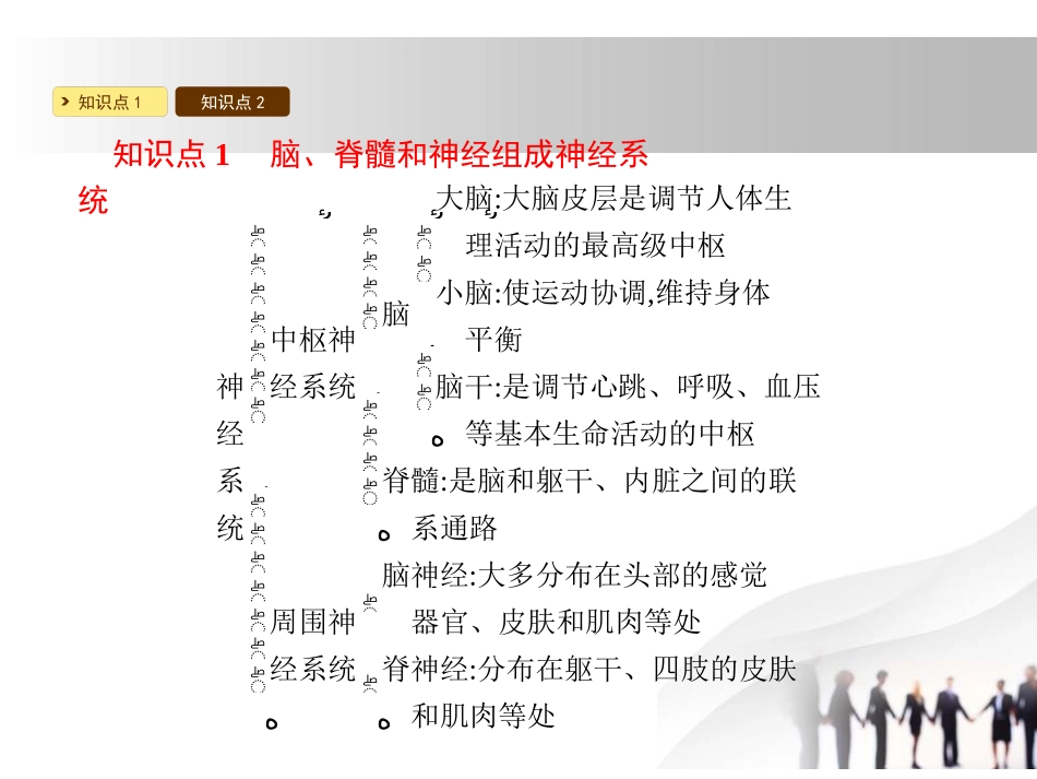 《神经系统与神经调节》PPT课件[北师大版七年级生物下册]_第2页