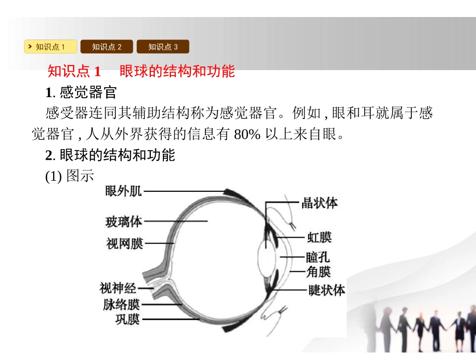 《感受器和感觉器官》PPT课件[北师大版七年级生物下册]_第2页