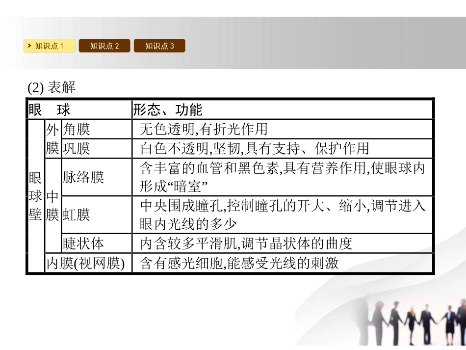 《感受器和感觉器官》PPT课件[北师大版七年级生物下册]_第3页