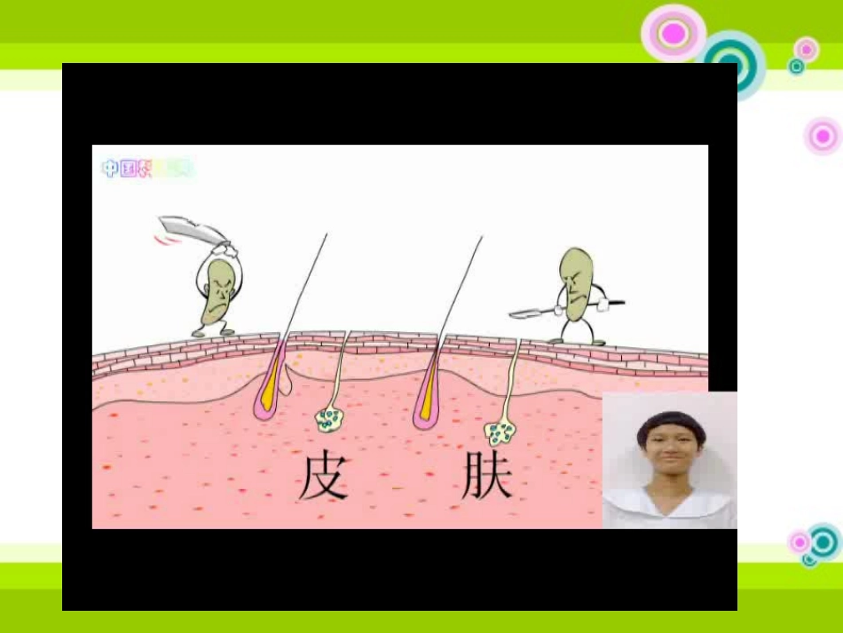 《人体免疫》PPT课件[北师大版七年级生物下册]_第3页