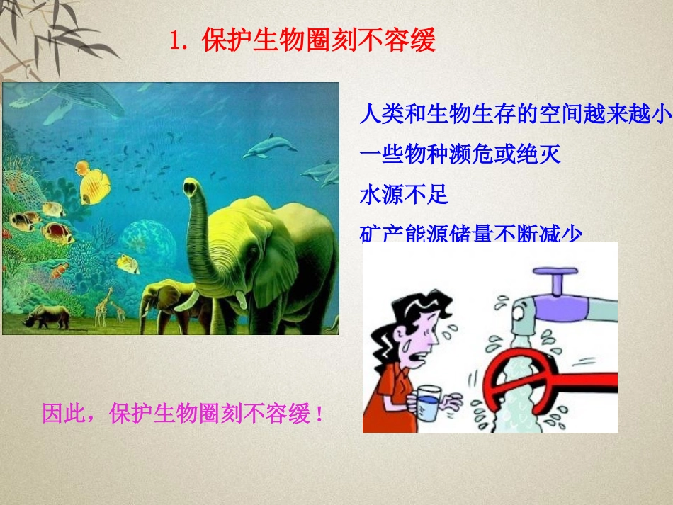 《保护生物圈是全人类的共同义务》PPT课件[北师大版七年级生物]_第3页