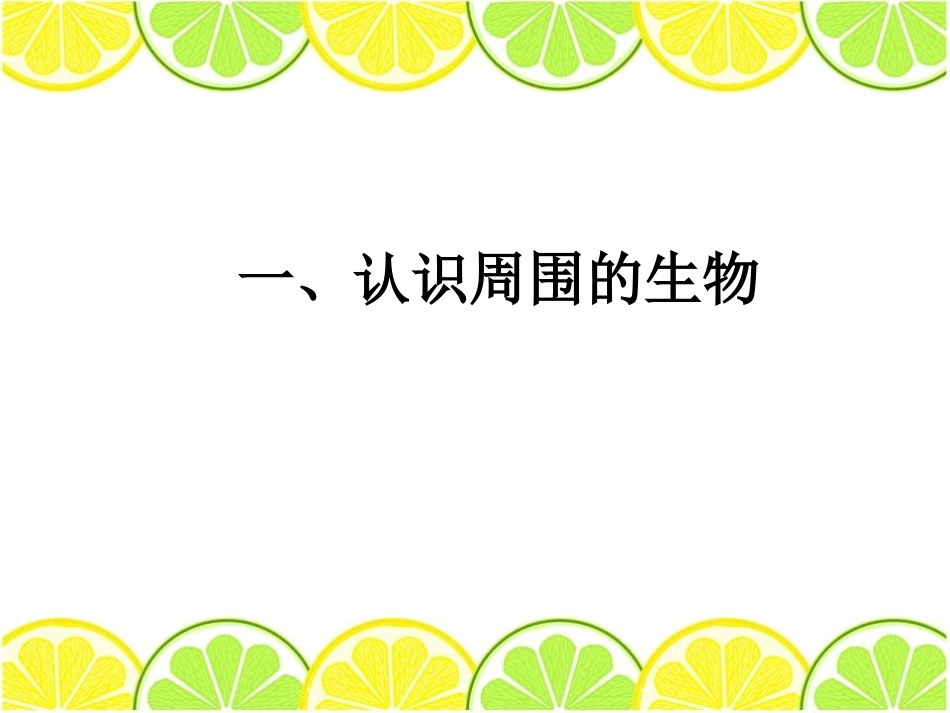 《我们周围的生物》PPT课件[苏教版七年级生物上册]_第2页