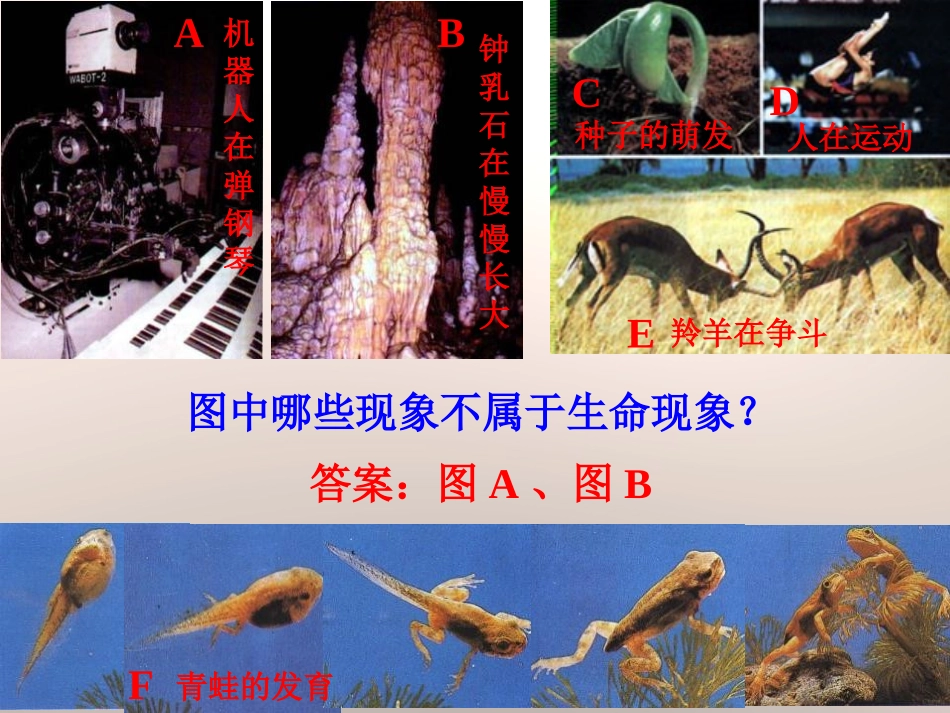 《生物与环境的关系》PPT课件[苏教版七年级生物上册]_第2页