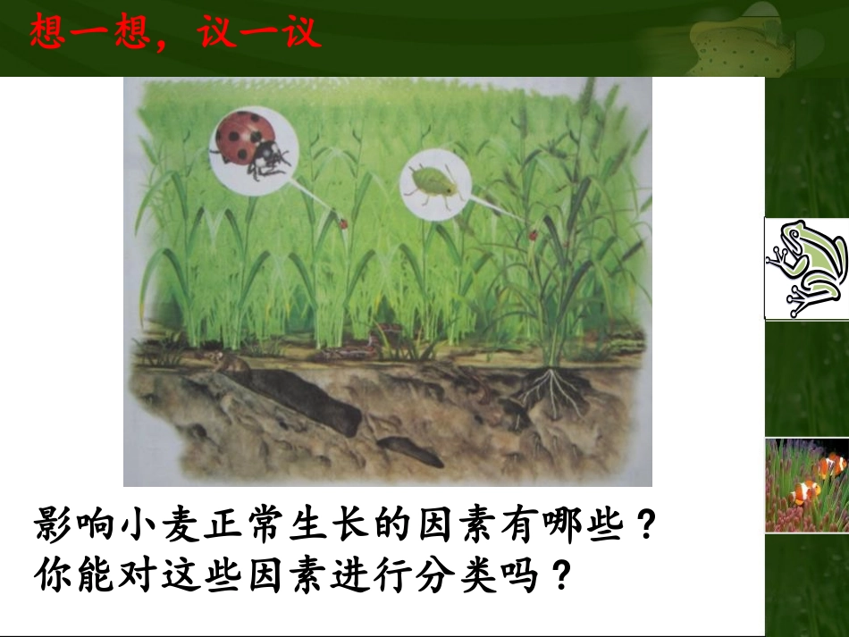 《生物与环境的关系》PPT课件[苏教版七年级生物上册]_第2页
