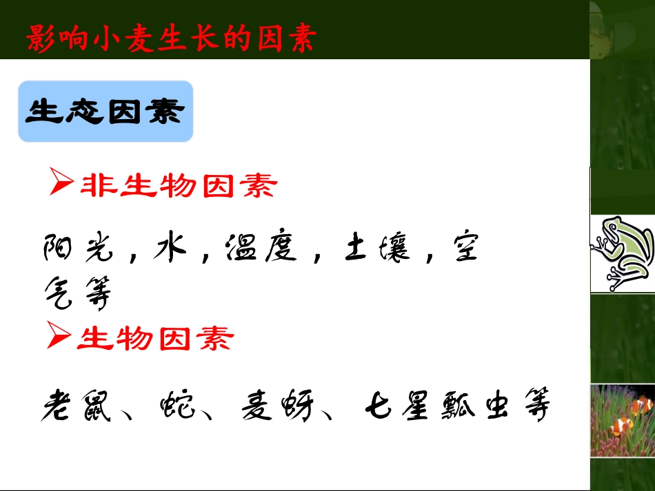 《生物与环境的关系》PPT课件[苏教版七年级生物上册]_第3页