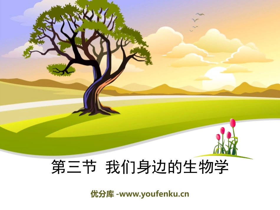 《我们身边的生物学》PPT课件[苏教版七年级生物上册]_第1页