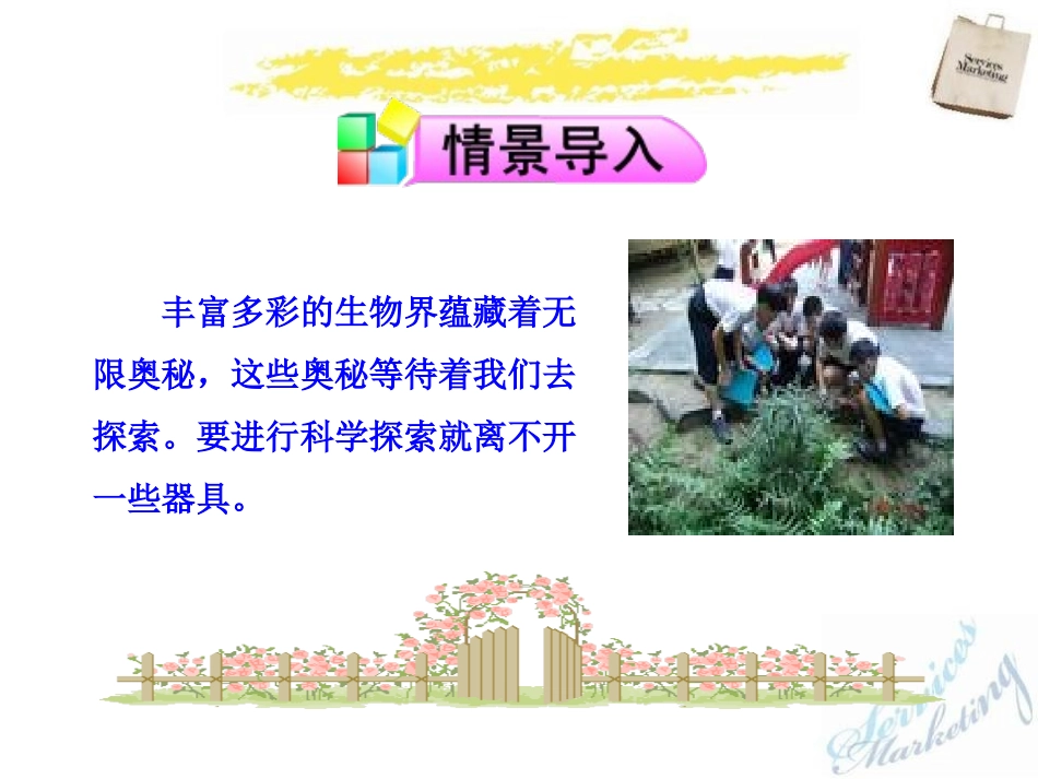 《探索生命的器具》PPT课件[苏教版七年级生物上册]_第2页