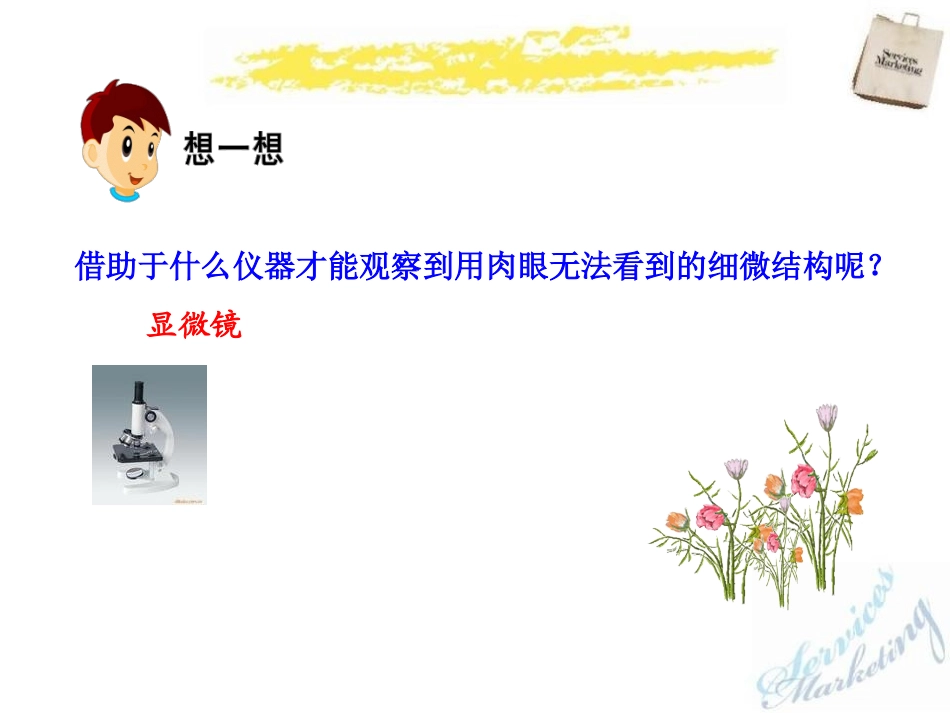 《探索生命的器具》PPT课件[苏教版七年级生物上册]_第3页
