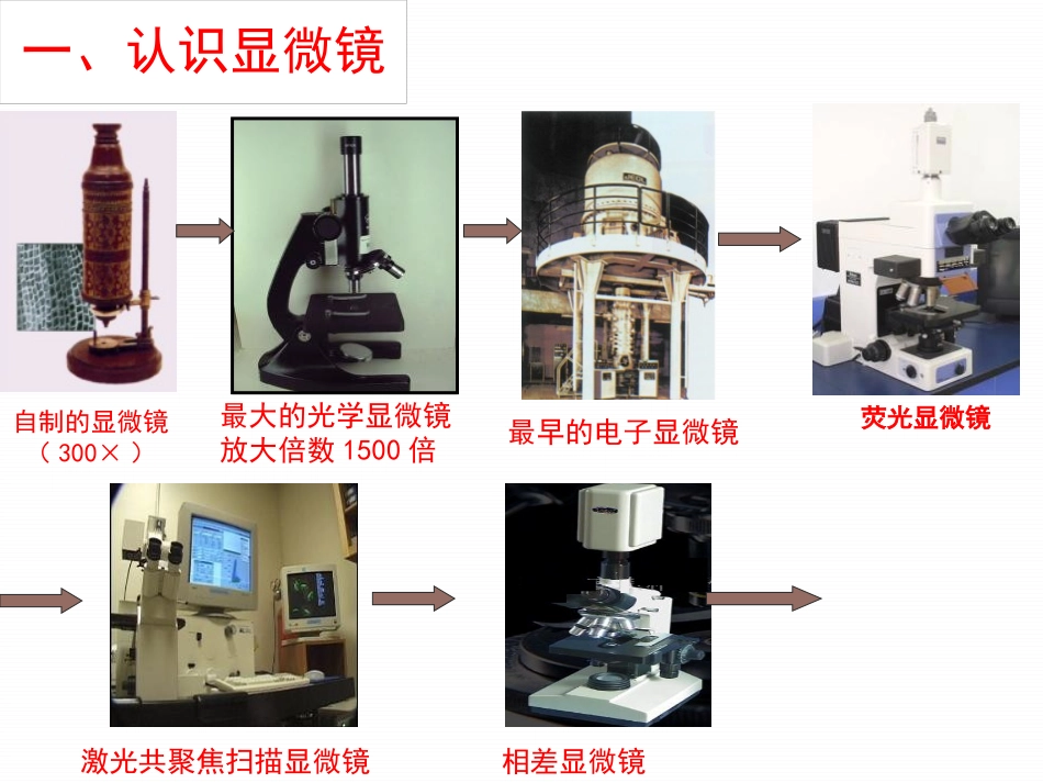 《探索生命的器具》PPT课件[苏教版七年级生物上册]_第1页