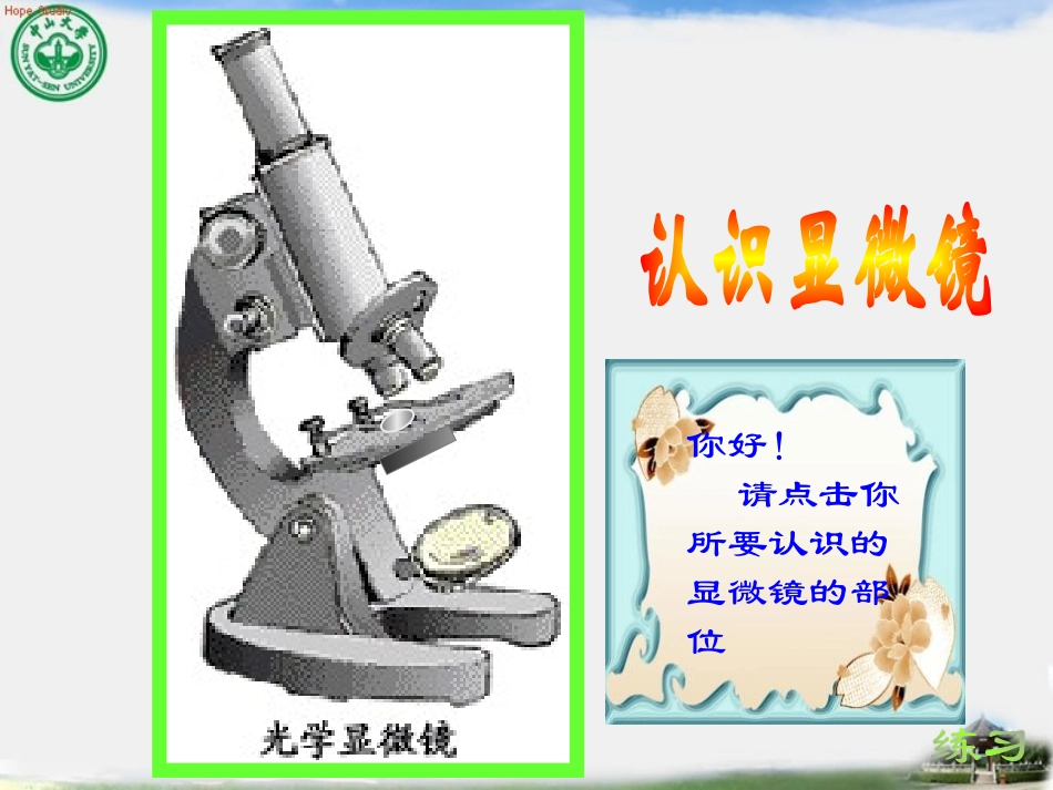 《探索生命的器具》PPT课件[苏教版七年级生物上册]_第2页