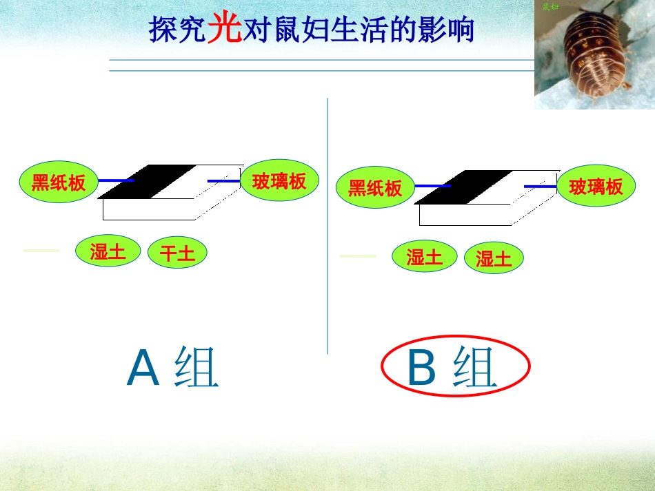 《探索生命的方法》PPT课件[苏教版七年级生物上册]_第2页