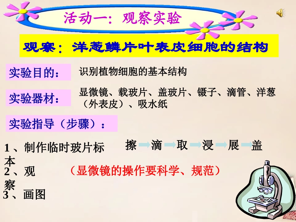 《植物细胞结构和功能》PPT课件[苏教版七年级生物上册]_第2页