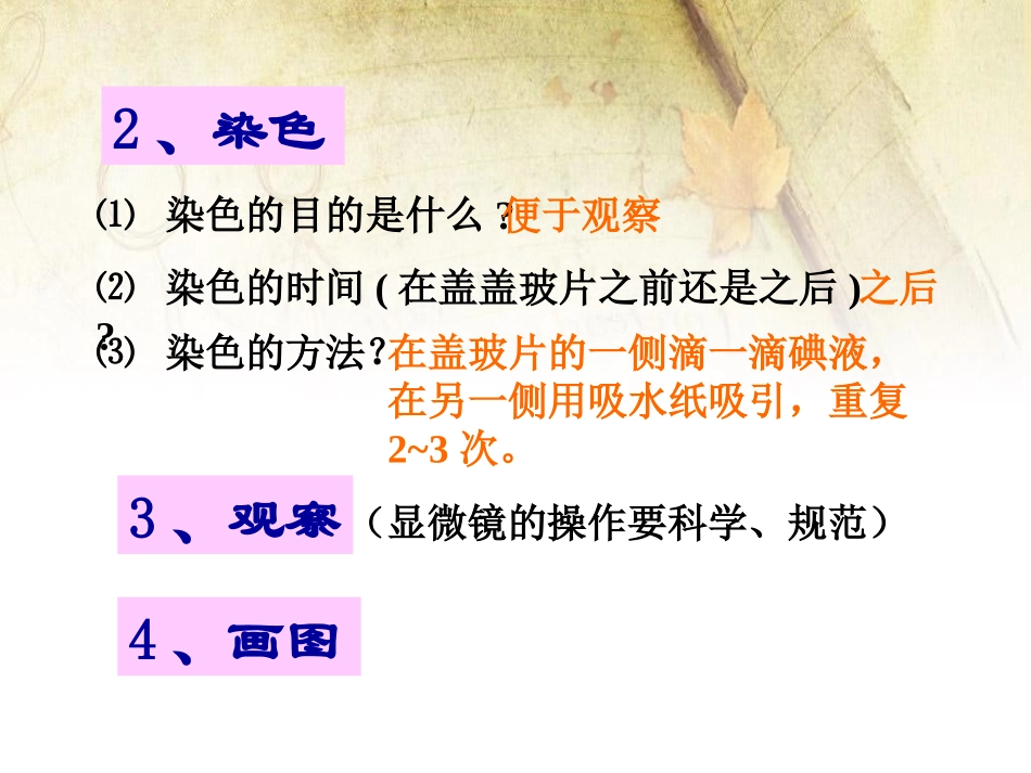 《植物细胞结构和功能》PPT课件[苏教版七年级生物上册]_第3页