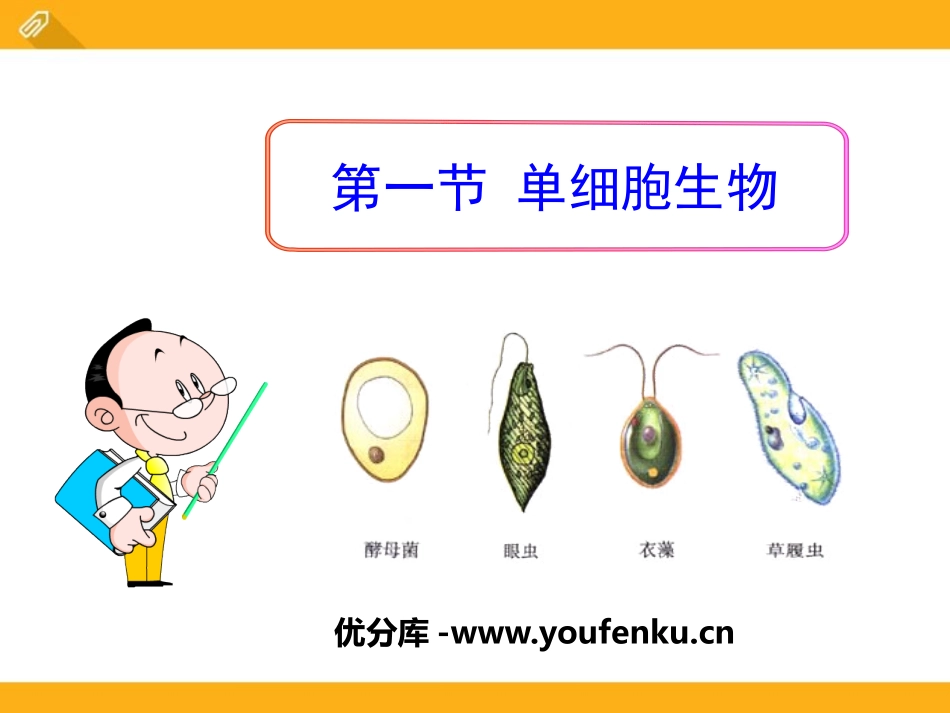 《单细胞生物》PPT课件[苏教版七年级生物上册]_第1页
