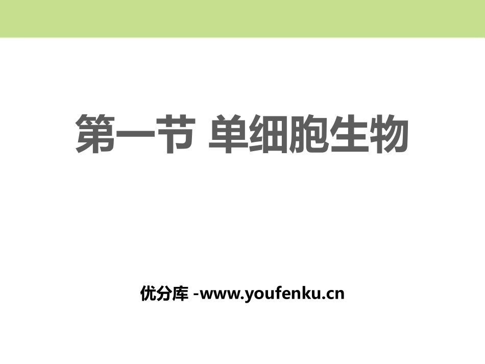 《单细胞生物》PPT课件[苏教版七年级生物上册]_第1页