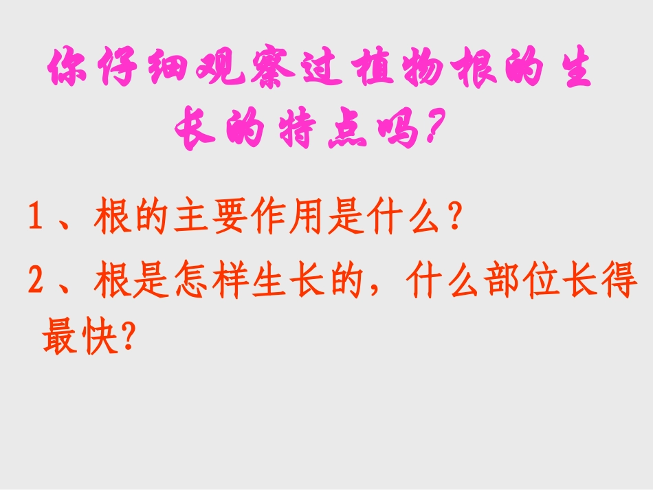 《植物根的生长》PPT课件[苏教版七年级生物上册]_第3页