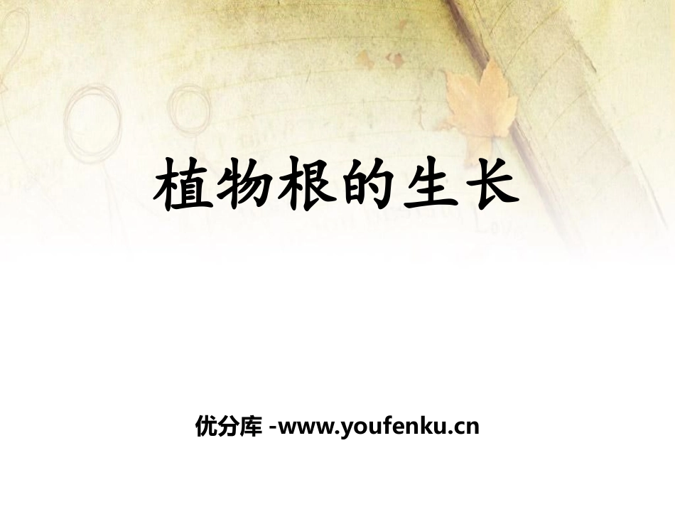 《植物根的生长》PPT课件[苏教版七年级生物上册]_第1页