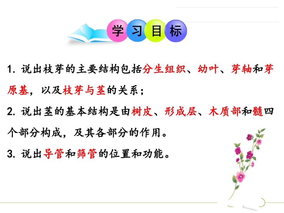 《植物茎的输导功能》PPT课件[苏教版七年级生物上册]_第2页