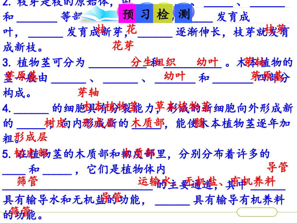 《植物茎的输导功能》PPT课件[苏教版七年级生物上册]_第3页