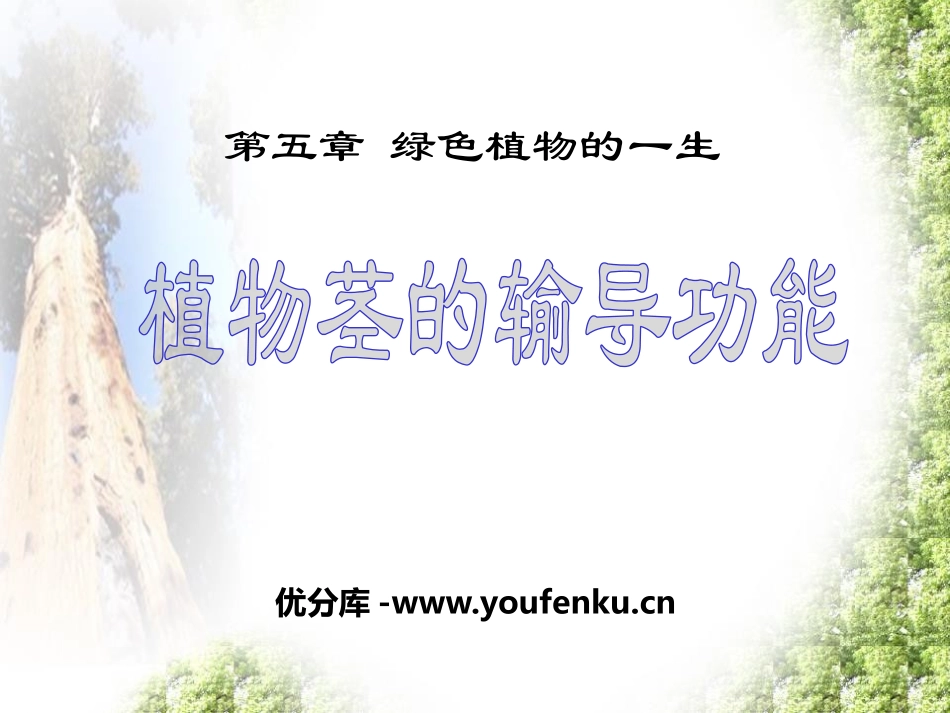 《植物茎的输导功能》PPT课件[苏教版七年级生物上册]_第1页