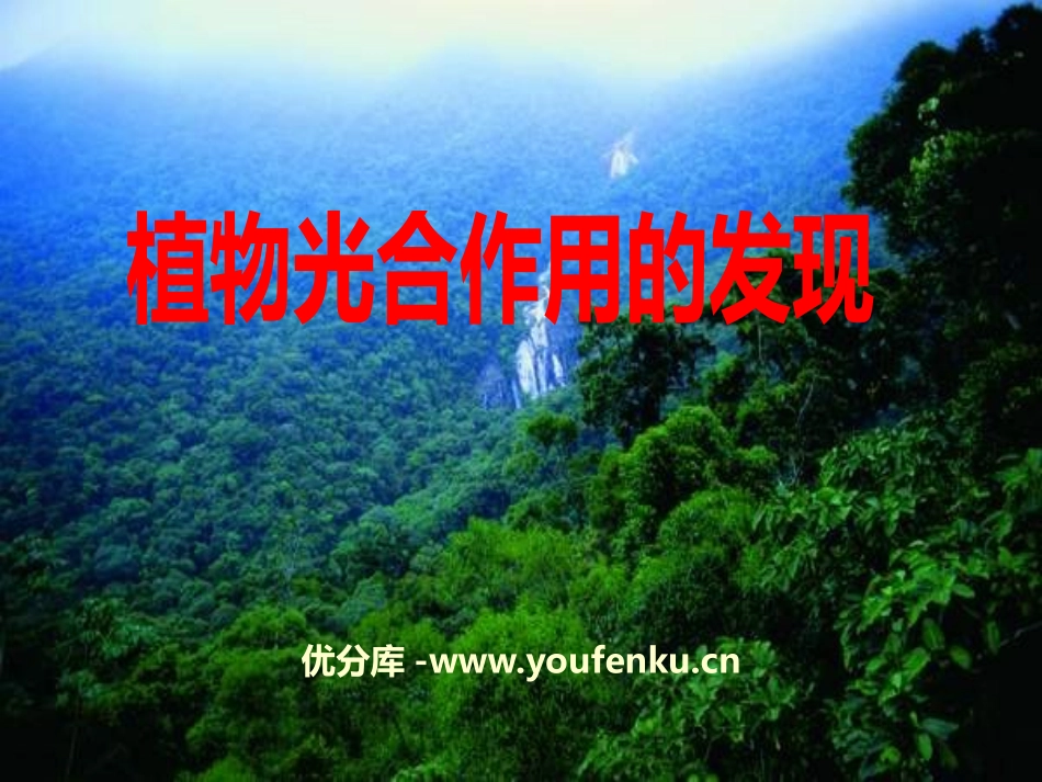 《植物光合作用的发现》PPT课件[苏教版七年级生物上册]_第1页