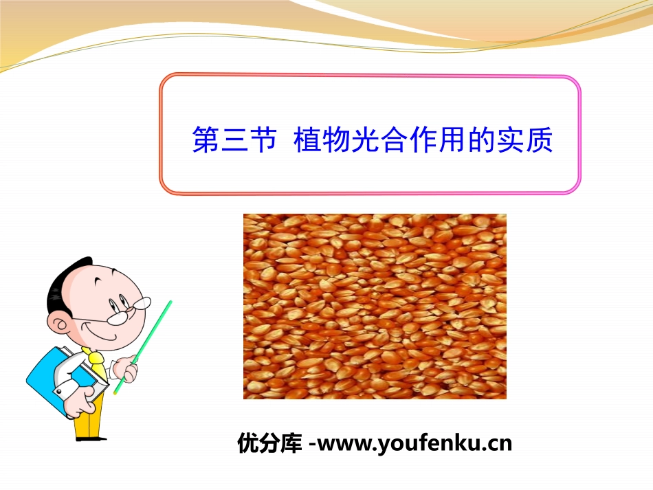 《植物光合作用的实质》PPT课件[苏教版七年级生物上册]_第1页