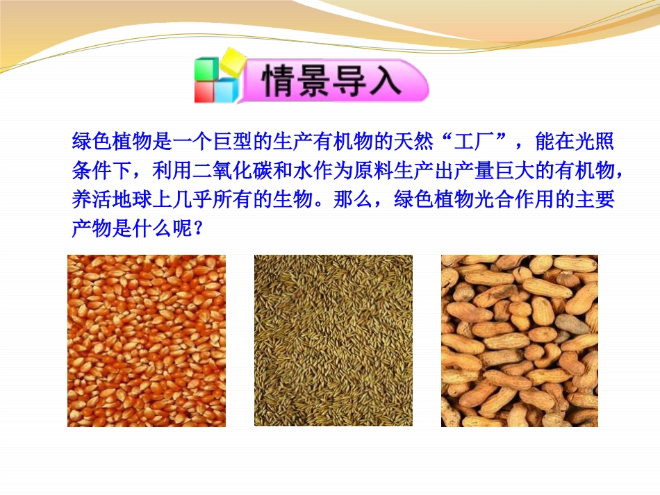 《植物光合作用的实质》PPT课件[苏教版七年级生物上册]_第2页