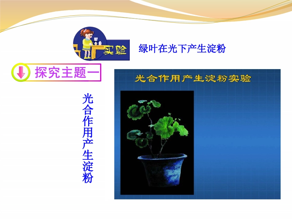 《植物光合作用的实质》PPT课件[苏教版七年级生物上册]_第3页