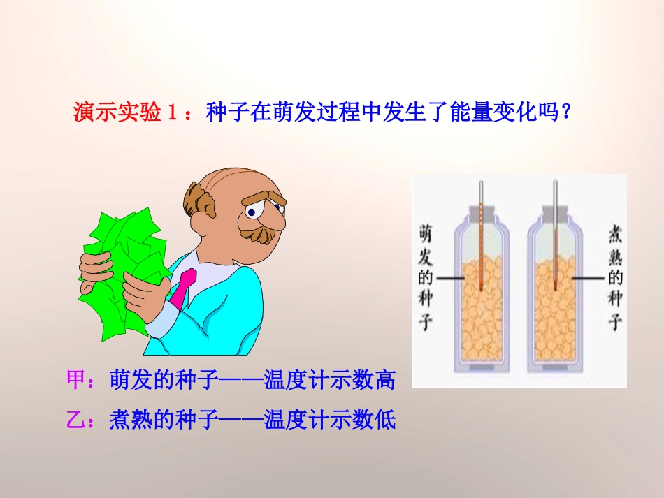 《绿色植物的呼吸作用》PPT课件[苏教版七年级生物上册]_第3页