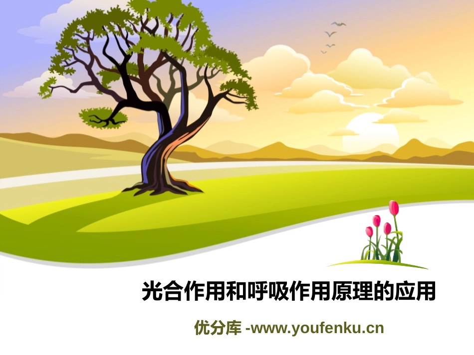 《光合作用和呼吸作用原理的应用》PPT课件[苏教版七年级生物]_第1页