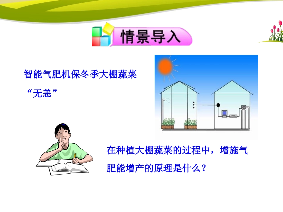《光合作用和呼吸作用原理的应用》PPT课件[苏教版七年级生物]_第2页