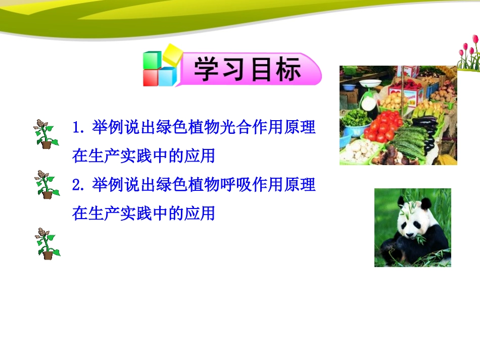 《光合作用和呼吸作用原理的应用》PPT课件[苏教版七年级生物]_第3页