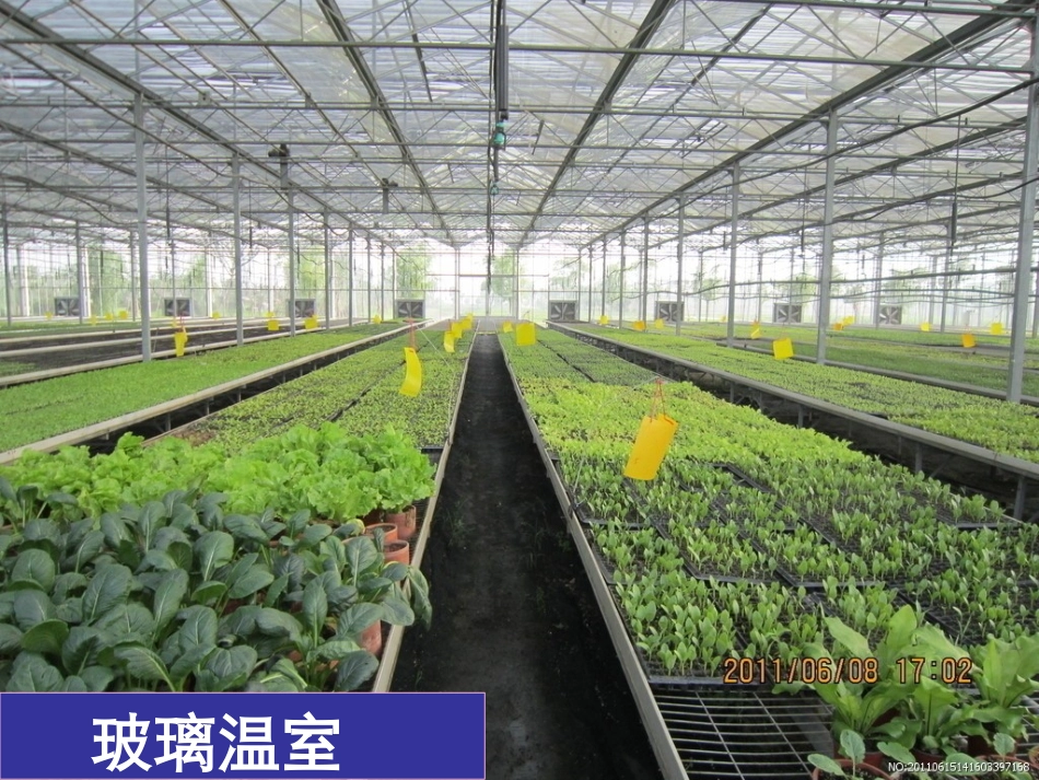 《光合作用和呼吸作用原理的应用》PPT课件[苏教版七年级生物]_第2页