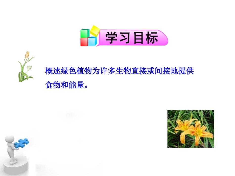 《绿色植物是食物之源》PPT课件[苏教版七年级生物上册]_第3页